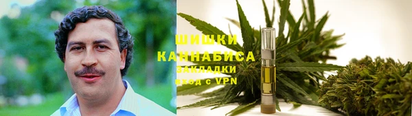 винт Алзамай