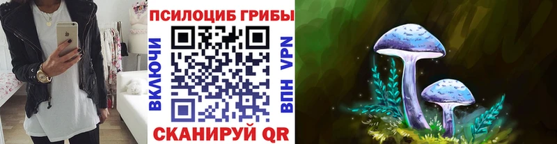 как найти закладки  Ивангород  Псилоцибиновые грибы Psilocybe 